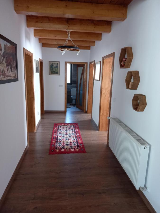 Homestay Casa Blaju Colibita